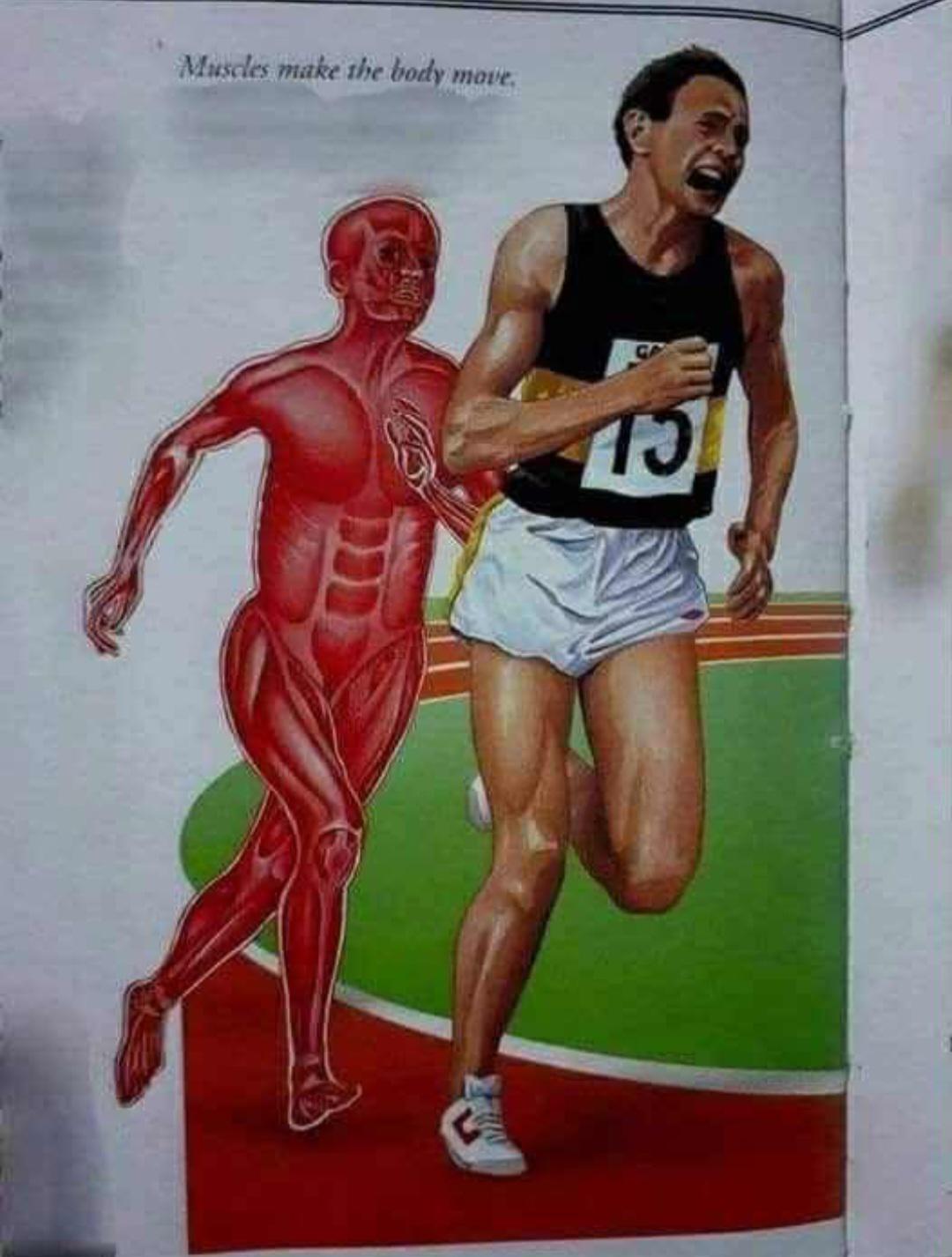 Description of picture